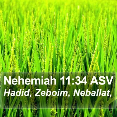 Nehemiah 11:34 ASV Bible Verse Image