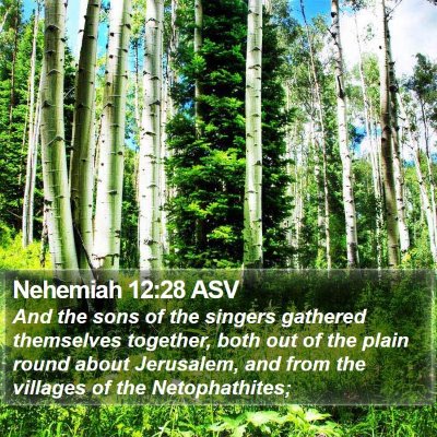Nehemiah 12:28 ASV Bible Verse Image