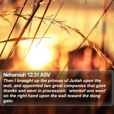 Nehemiah 12:31 ASV Bible Verse Image