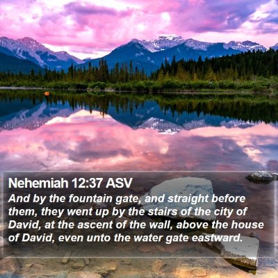 Nehemiah 12:37 ASV Bible Verse Image