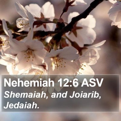 Nehemiah 12:6 ASV Bible Verse Image
