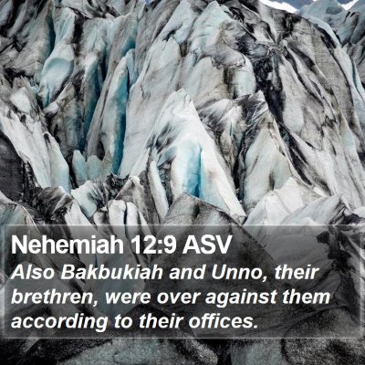 Nehemiah 12:9 ASV Bible Verse Image