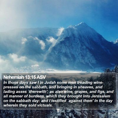 Nehemiah 13:15 ASV Bible Verse Image