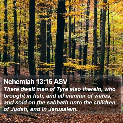 Nehemiah 13:16 ASV Bible Verse Image
