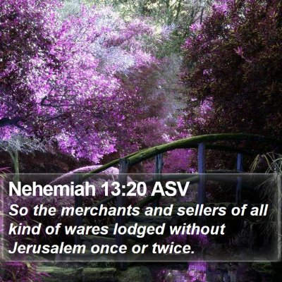 Nehemiah 13:20 ASV Bible Verse Image