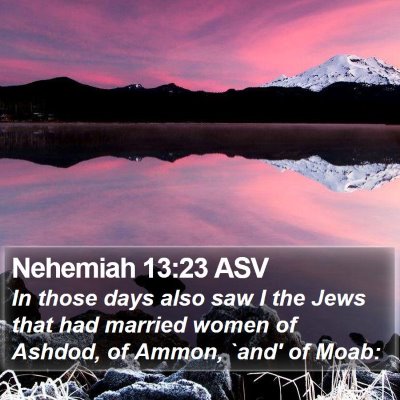 Nehemiah 13:23 ASV Bible Verse Image