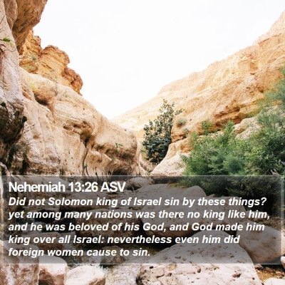 Nehemiah 13:26 ASV Bible Verse Image