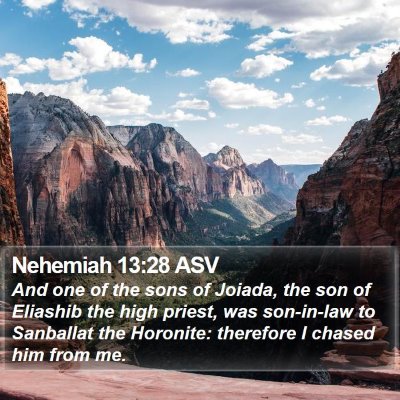 Nehemiah 13:28 ASV Bible Verse Image