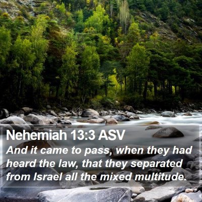 Nehemiah 13:3 ASV Bible Verse Image