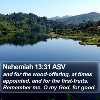 Nehemiah 13:31 ASV Bible Verse Image