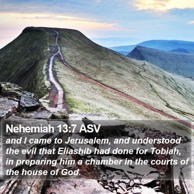 Nehemiah 13:7 ASV Bible Verse Image
