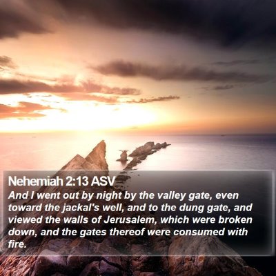 Nehemiah 2:13 ASV Bible Verse Image