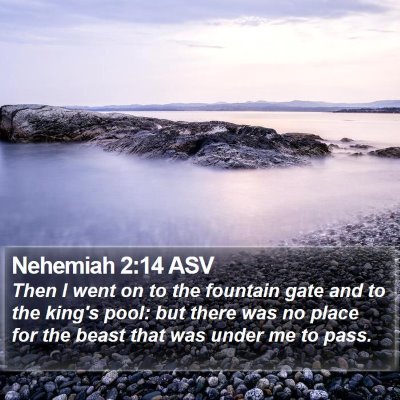Nehemiah 2:14 ASV Bible Verse Image