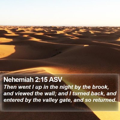 Nehemiah 2:15 ASV Bible Verse Image