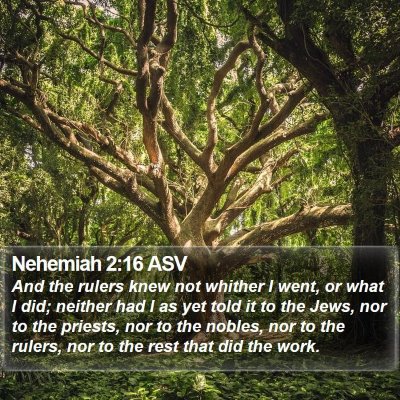 Nehemiah 2:16 ASV Bible Verse Image