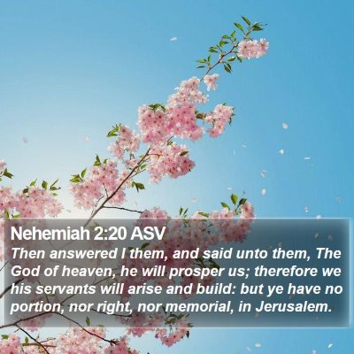 Nehemiah 2:20 ASV Bible Verse Image