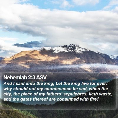 Nehemiah 2:3 ASV Bible Verse Image
