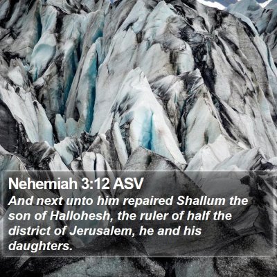 Nehemiah 3:12 ASV Bible Verse Image