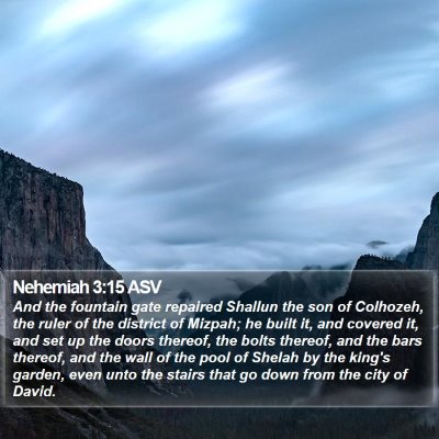 Nehemiah 3:15 ASV Bible Verse Image