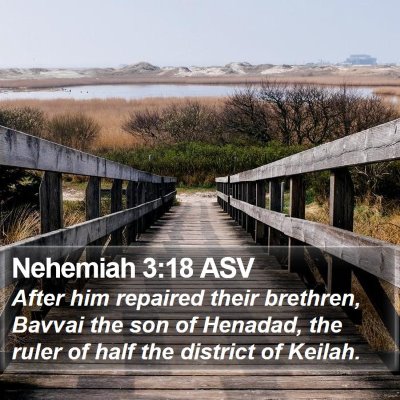 Nehemiah 3:18 ASV Bible Verse Image