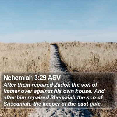 Nehemiah 3:29 ASV Bible Verse Image