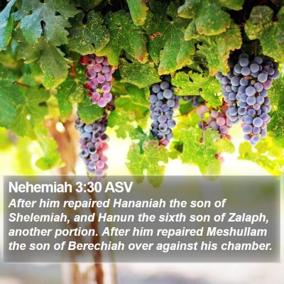 Nehemiah 3:30 ASV Bible Verse Image