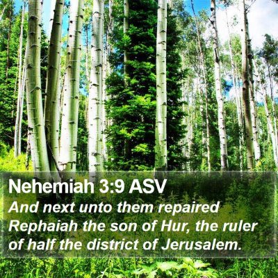 Nehemiah 3:9 ASV Bible Verse Image