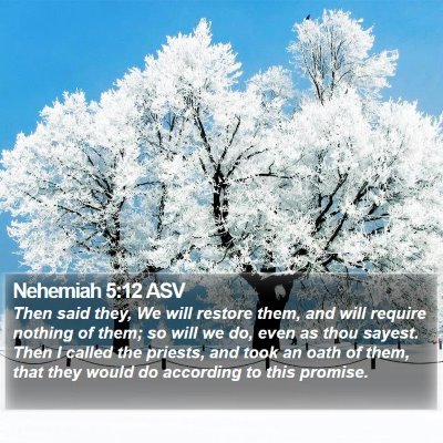 Nehemiah 5:12 ASV Bible Verse Image