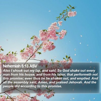 Nehemiah 5:13 ASV Bible Verse Image