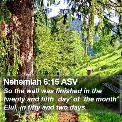Nehemiah 6:15 ASV Bible Verse Image
