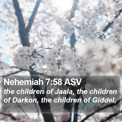Nehemiah 7:58 ASV Bible Verse Image
