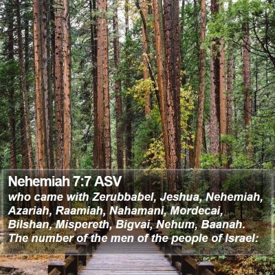 Nehemiah 7:7 ASV Bible Verse Image