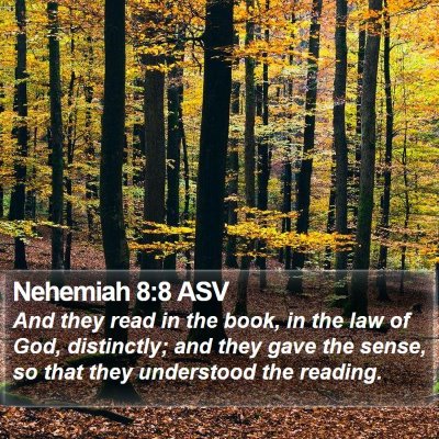 Nehemiah 8:8 ASV Bible Verse Image