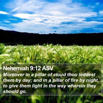 Nehemiah 9:12 ASV Bible Verse Image