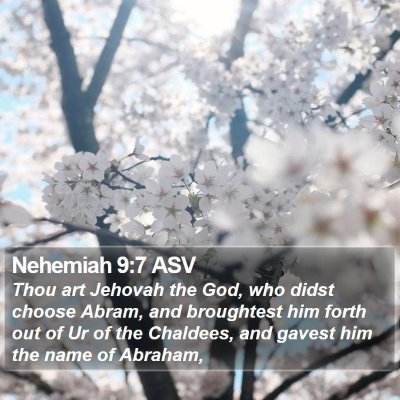 Nehemiah 9:7 ASV Bible Verse Image