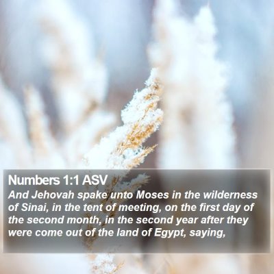 Numbers 1:1 ASV Bible Verse Image