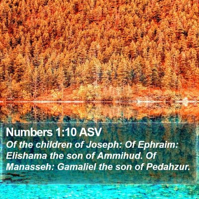 Numbers 1:10 ASV Bible Verse Image