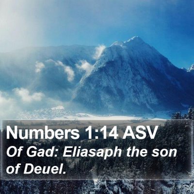 Numbers 1:14 ASV Bible Verse Image