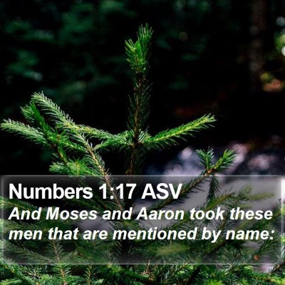 Numbers 1:17 ASV Bible Verse Image
