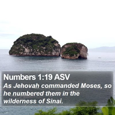 Numbers 1:19 ASV Bible Verse Image