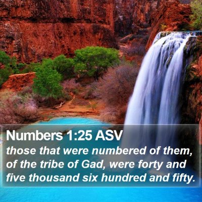 Numbers 1:25 ASV Bible Verse Image