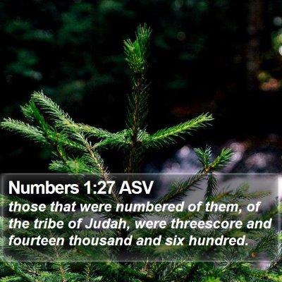 Numbers 1:27 ASV Bible Verse Image