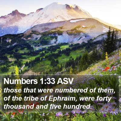 Numbers 1:33 ASV Bible Verse Image