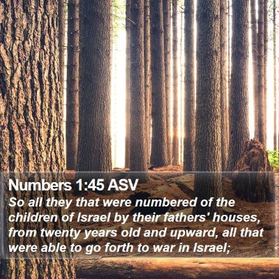 Numbers 1:45 ASV Bible Verse Image