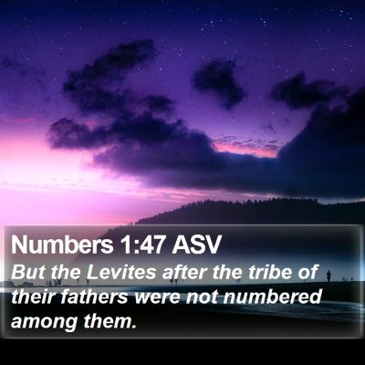 Numbers 1:47 ASV Bible Verse Image