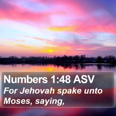 Numbers 1:48 ASV Bible Verse Image