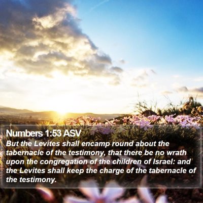 Numbers 1:53 ASV Bible Verse Image
