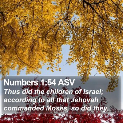 Numbers 1:54 ASV Bible Verse Image