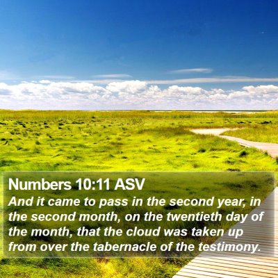 Numbers 10:11 ASV Bible Verse Image