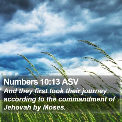 Numbers 10:13 ASV Bible Verse Image